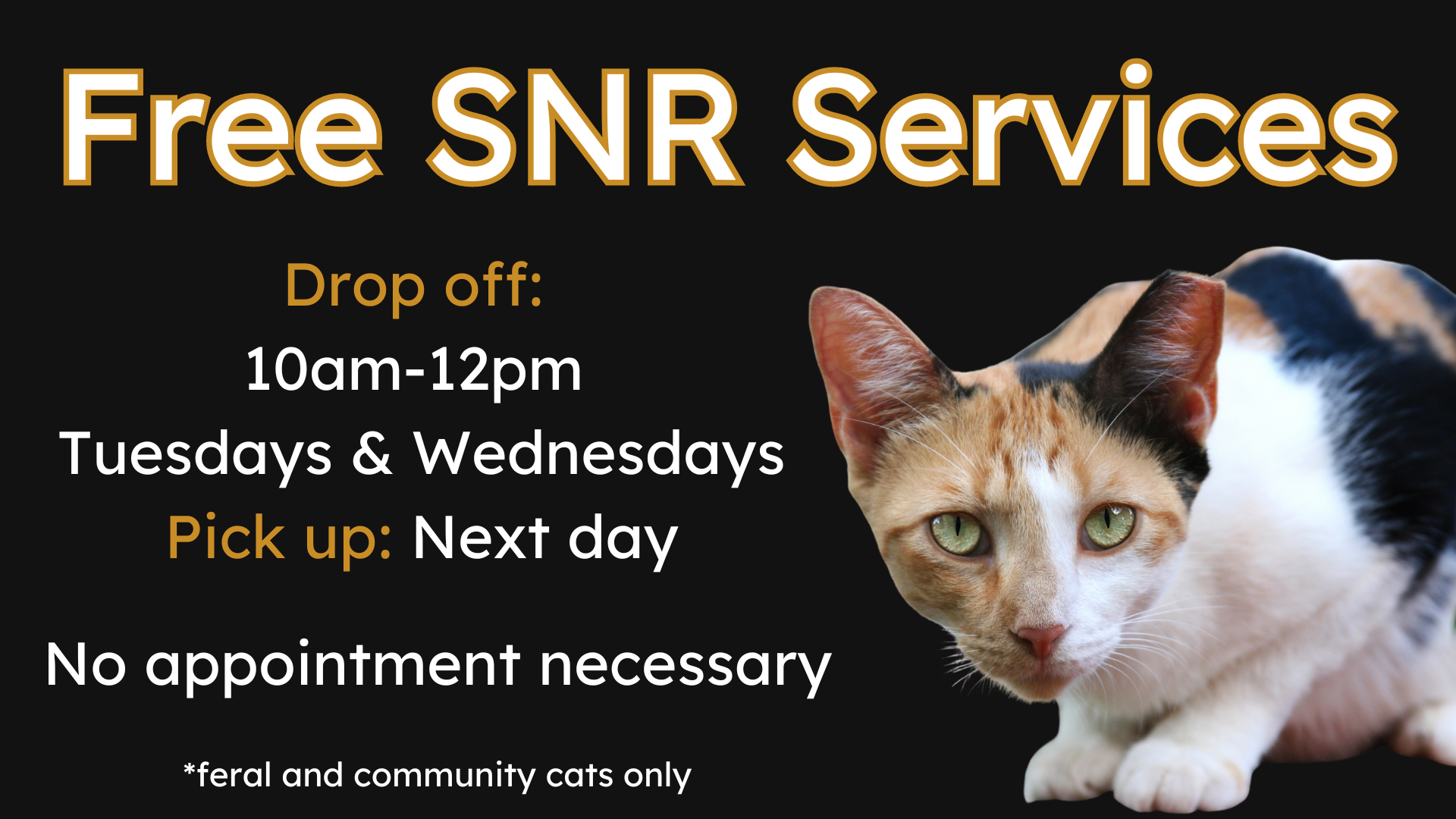 Free Shelter Neuter Release